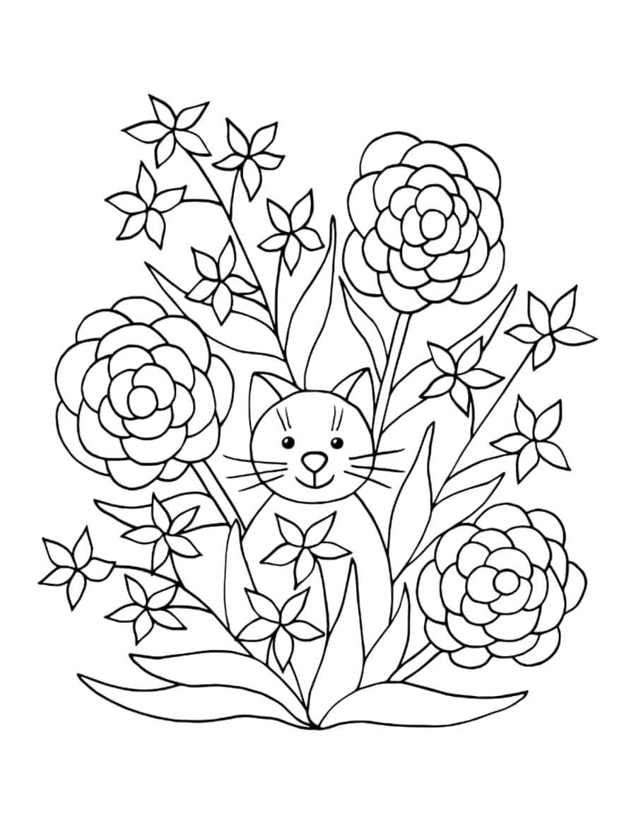 Flower Cat Garden Coloring Pdf Free Vectors